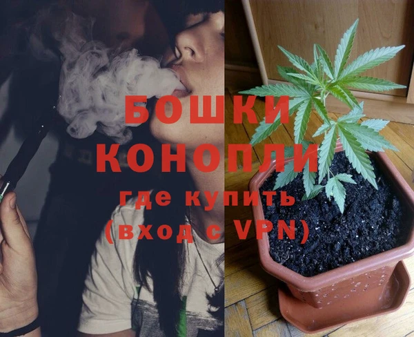 молекула духа Балахна
