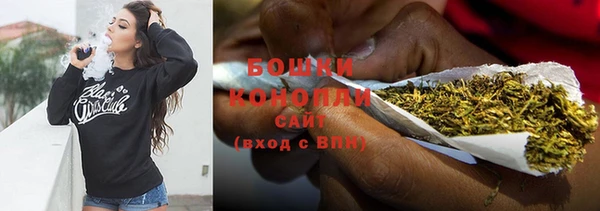 шишки Семилуки