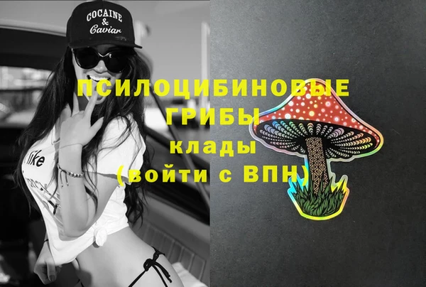 молекула духа Балахна