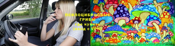 ALPHA-PVP Баксан